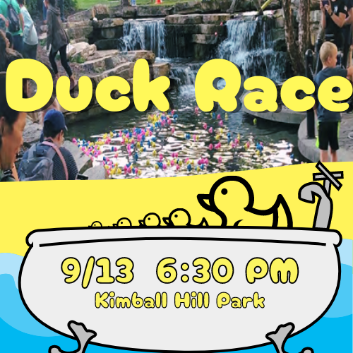 500x500 duck race